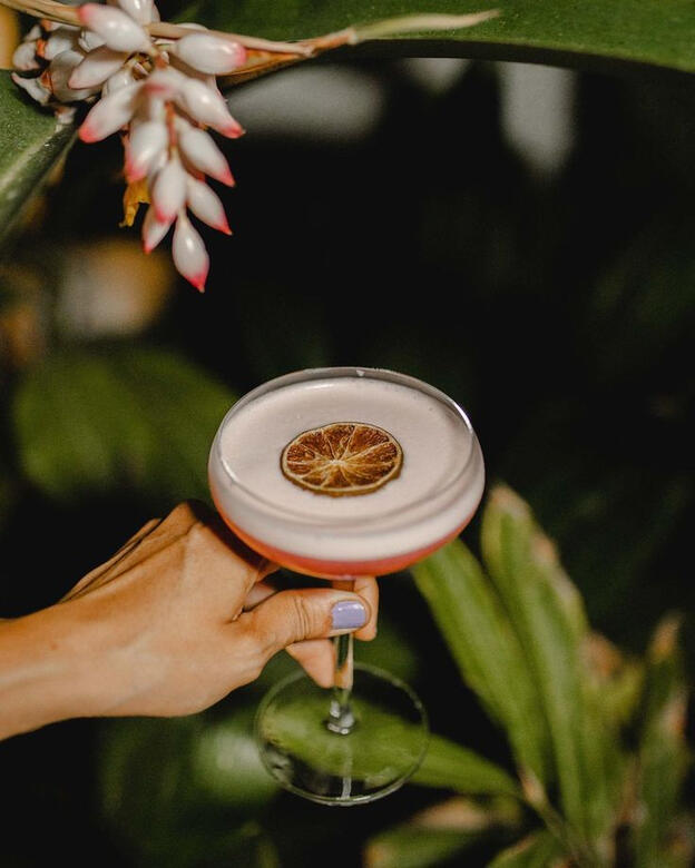 EXEPTIONNELLE EXEPTIONNELLE