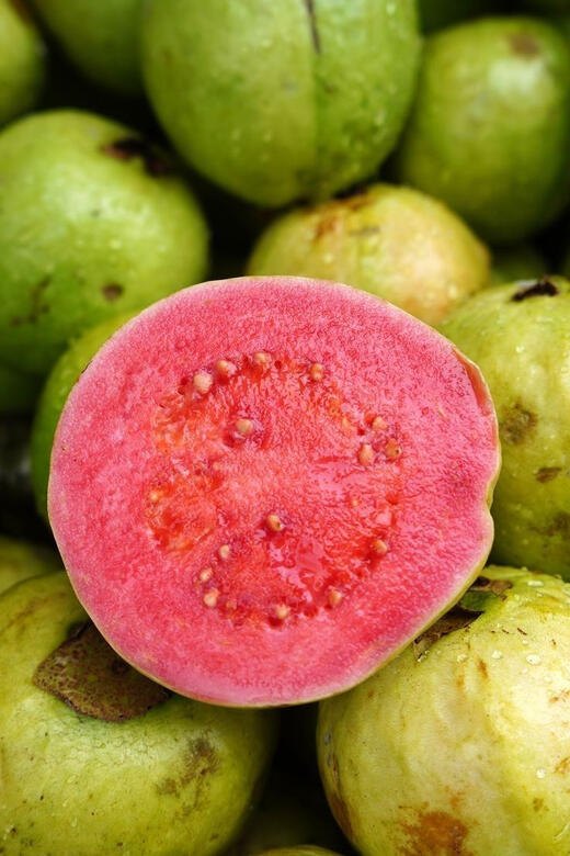 Goyave Rose Goyave Rose